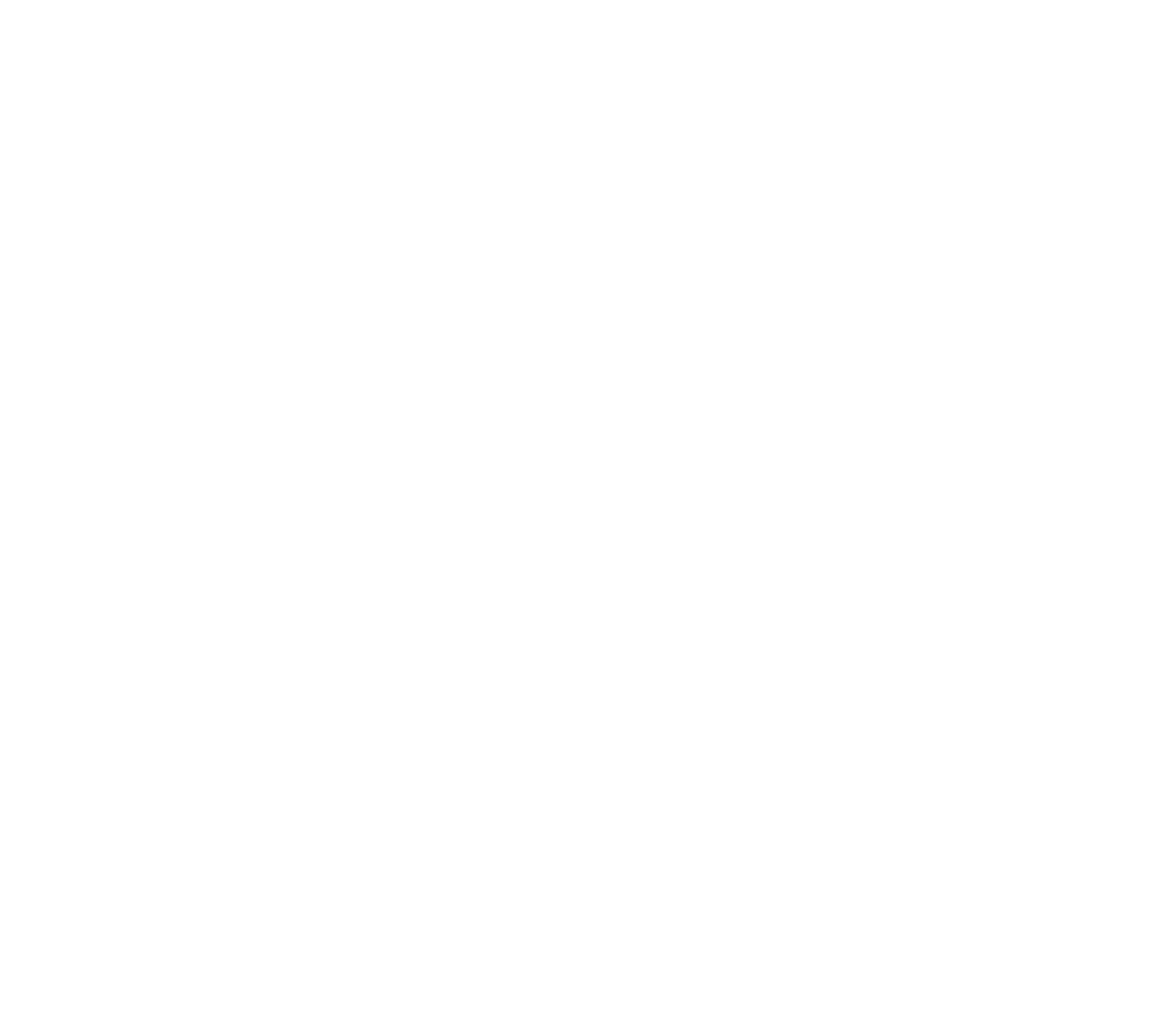 LOGO PLEIADI SRL_BIANCO