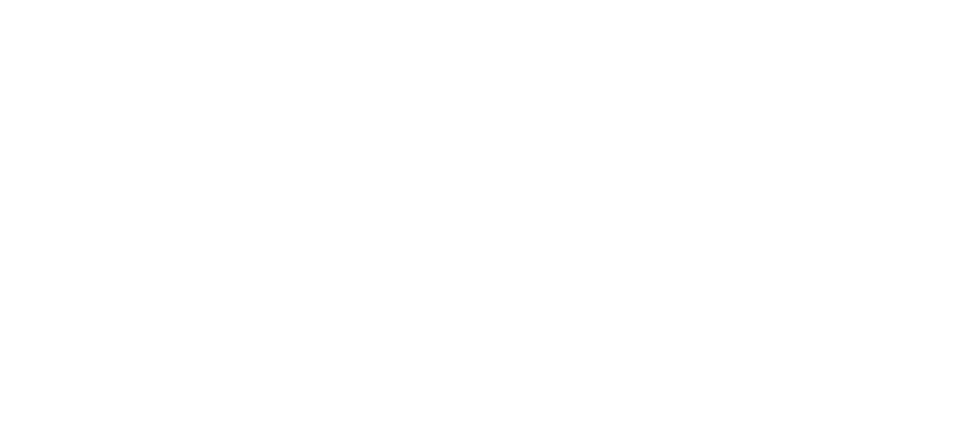 POLITECNICO_TORINO